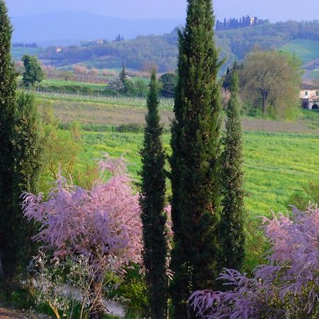 Ginestra Διαμέρισμα Poggibonsi Εξωτερικό φωτογραφία