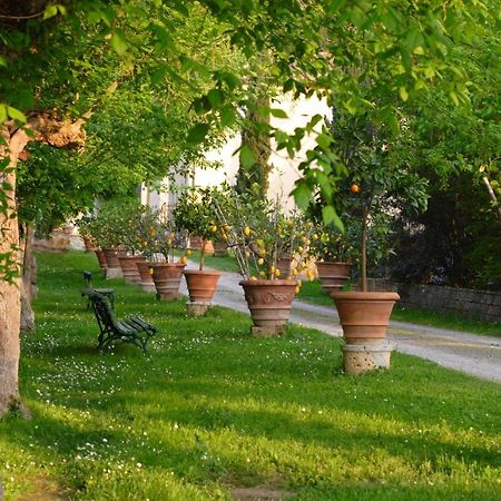Ginestra Διαμέρισμα Poggibonsi Εξωτερικό φωτογραφία