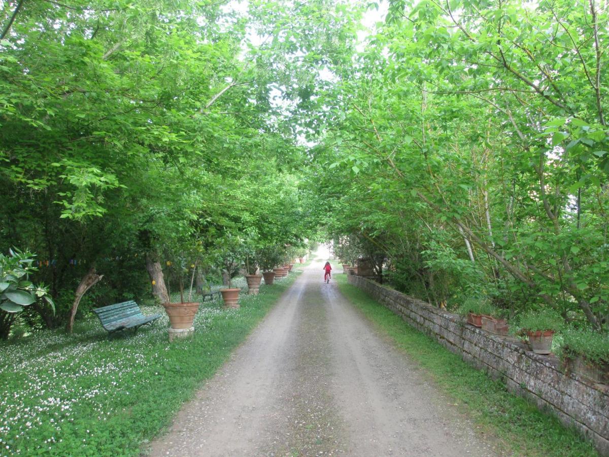 Ginestra Διαμέρισμα Poggibonsi Εξωτερικό φωτογραφία
