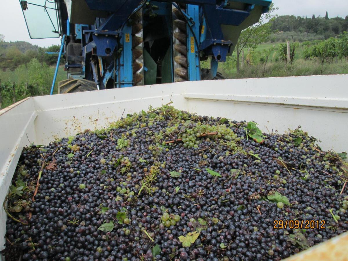 Ginestra Διαμέρισμα Poggibonsi Εξωτερικό φωτογραφία