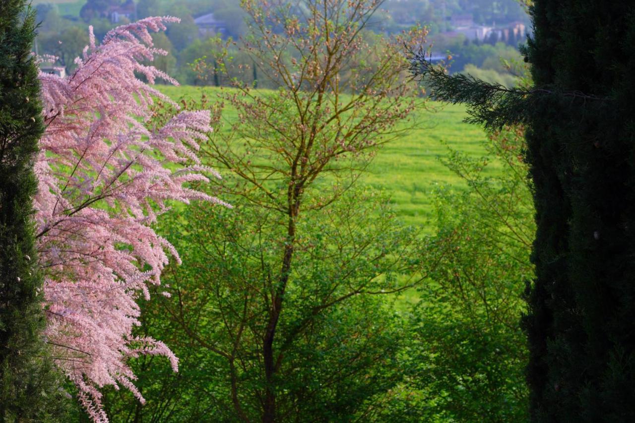 Ginestra Διαμέρισμα Poggibonsi Εξωτερικό φωτογραφία