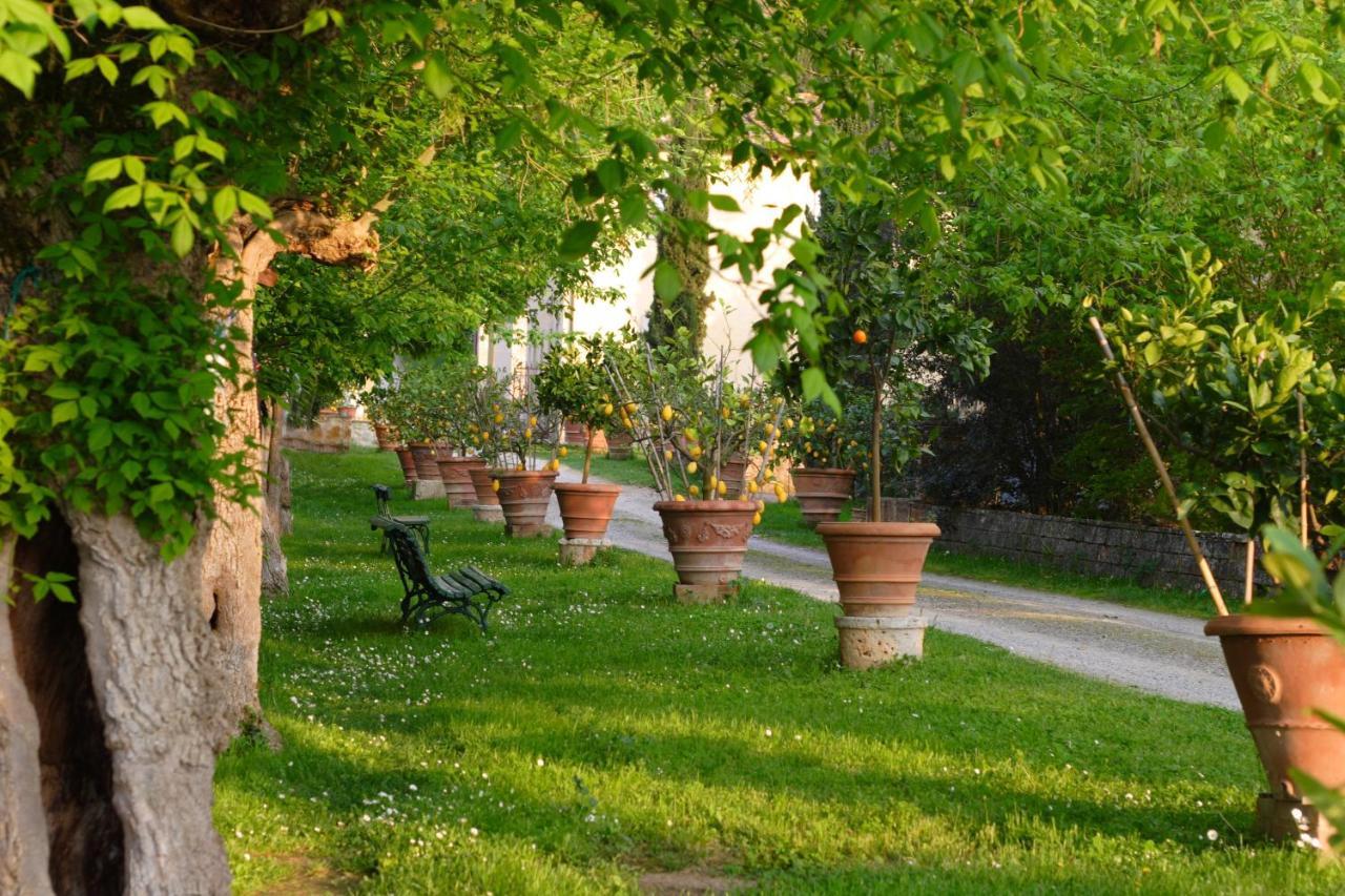 Ginestra Διαμέρισμα Poggibonsi Εξωτερικό φωτογραφία