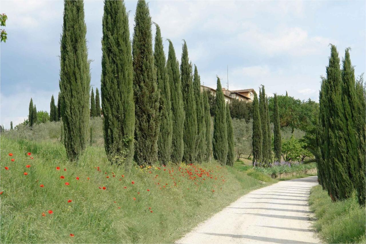 Ginestra Διαμέρισμα Poggibonsi Εξωτερικό φωτογραφία