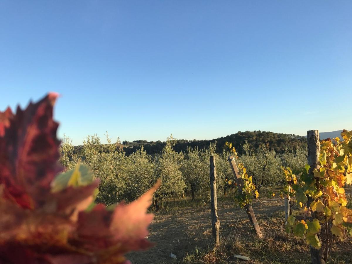Ginestra Διαμέρισμα Poggibonsi Εξωτερικό φωτογραφία