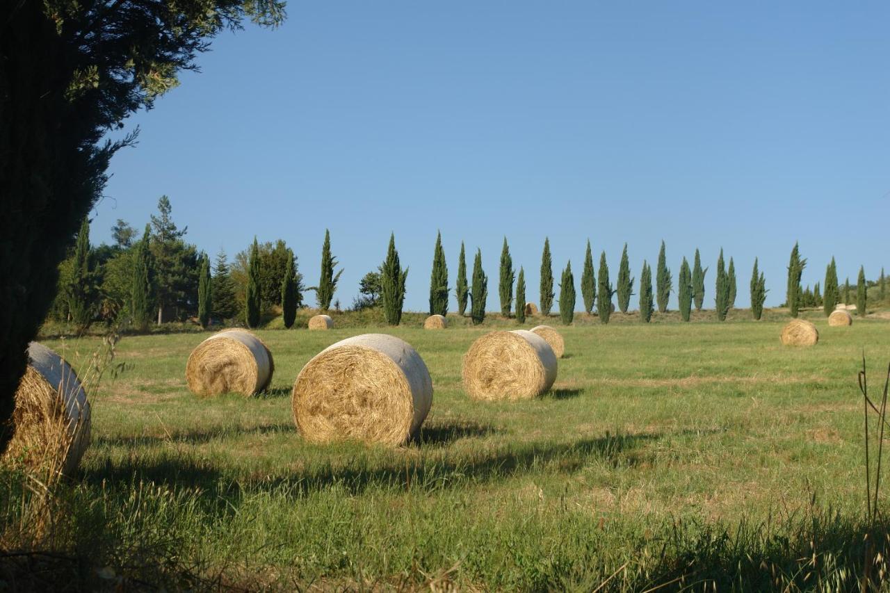 Ginestra Διαμέρισμα Poggibonsi Εξωτερικό φωτογραφία